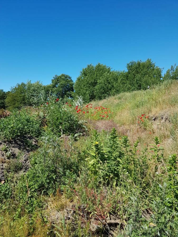 Apartamento Urlaub Bei Hauenstein Born Exterior foto