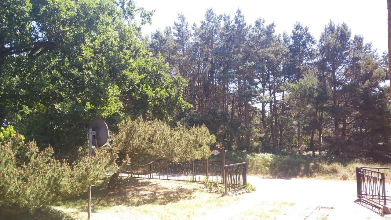 Apartamento Urlaub Bei Hauenstein Born Exterior foto
