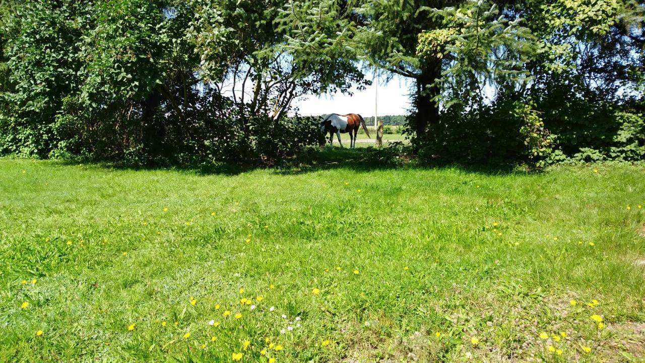 Apartamento Urlaub Bei Hauenstein Born Exterior foto